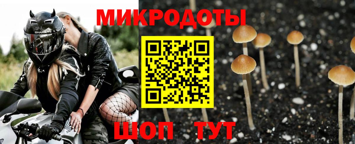 Арсеньев  Псилоцибиновые грибы прущие грибы  Вход с VPN 